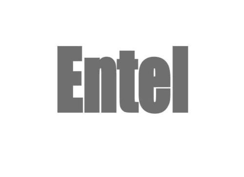 Entel DN495 PoC rádió 1 éves előfizetés hosszabbítás